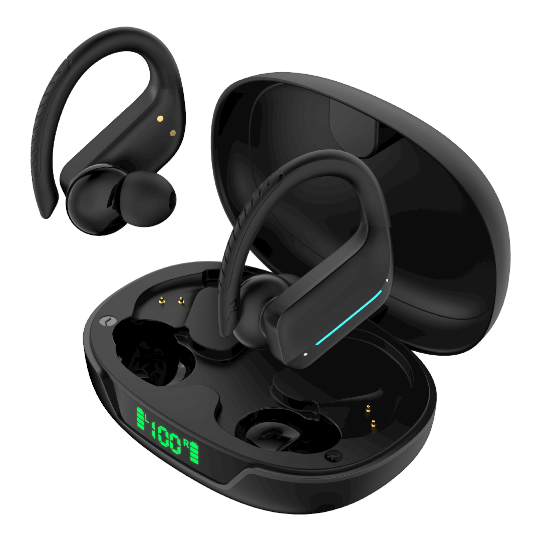 TS21 Earbuds