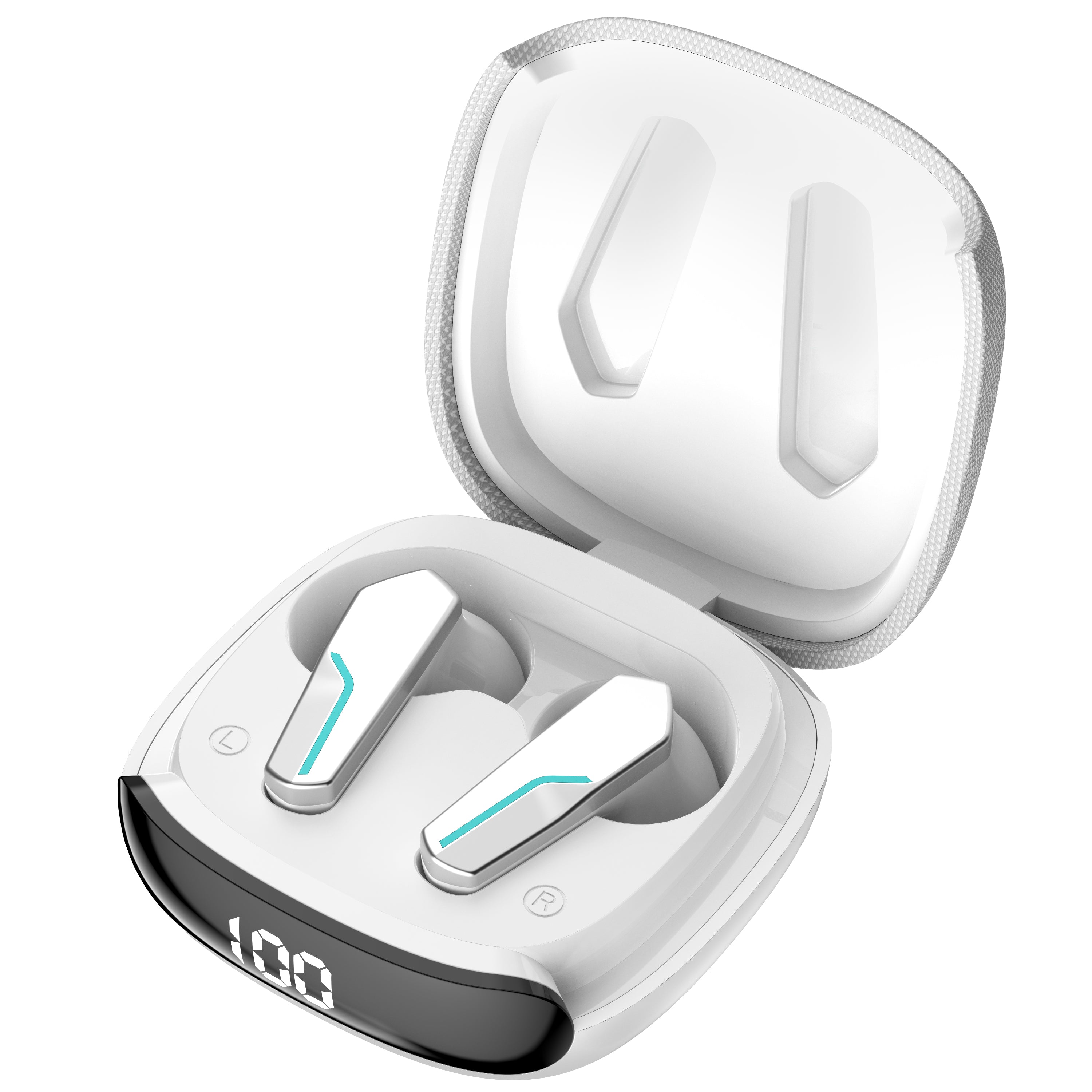 TS10 Earbuds